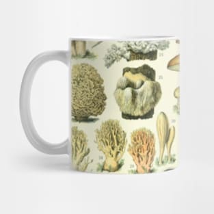 Mushroom Chart Mug